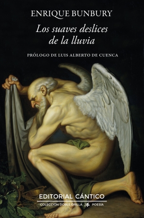 Portada del libro Los suaves deslices de la lluvia