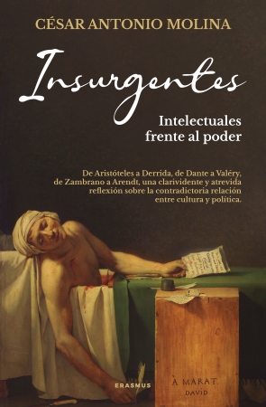 Portada del libro Insurgentes