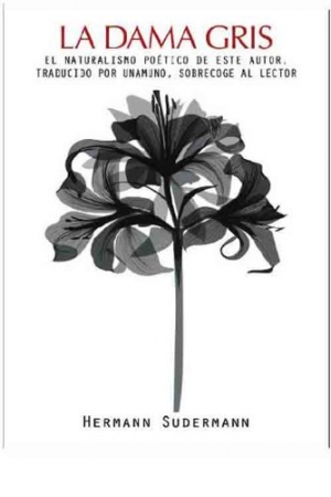 Portada del libro La dama gris